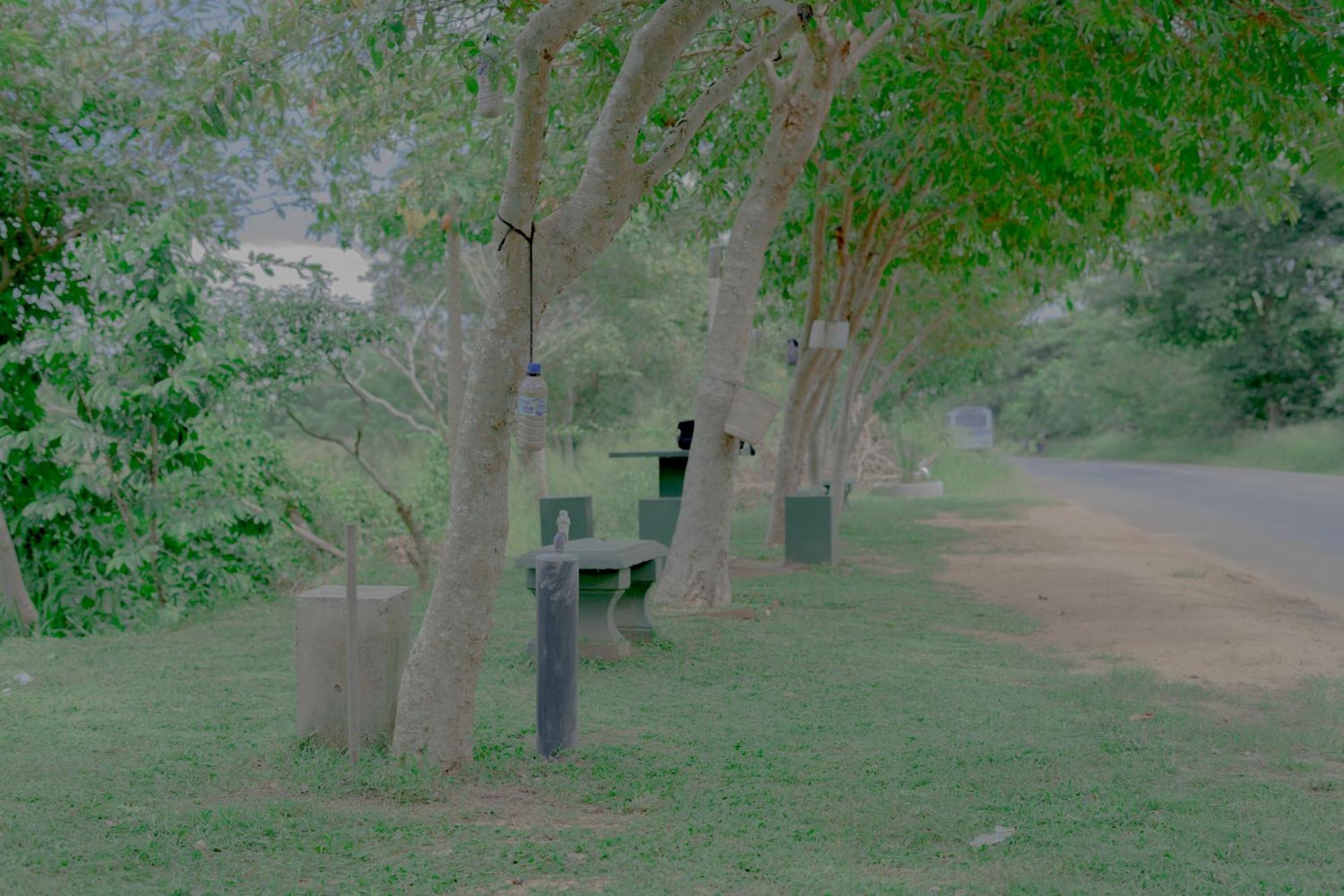 Wilpattu Restaurant & Guest House Pahala Maragahawewa Eksteriør billede