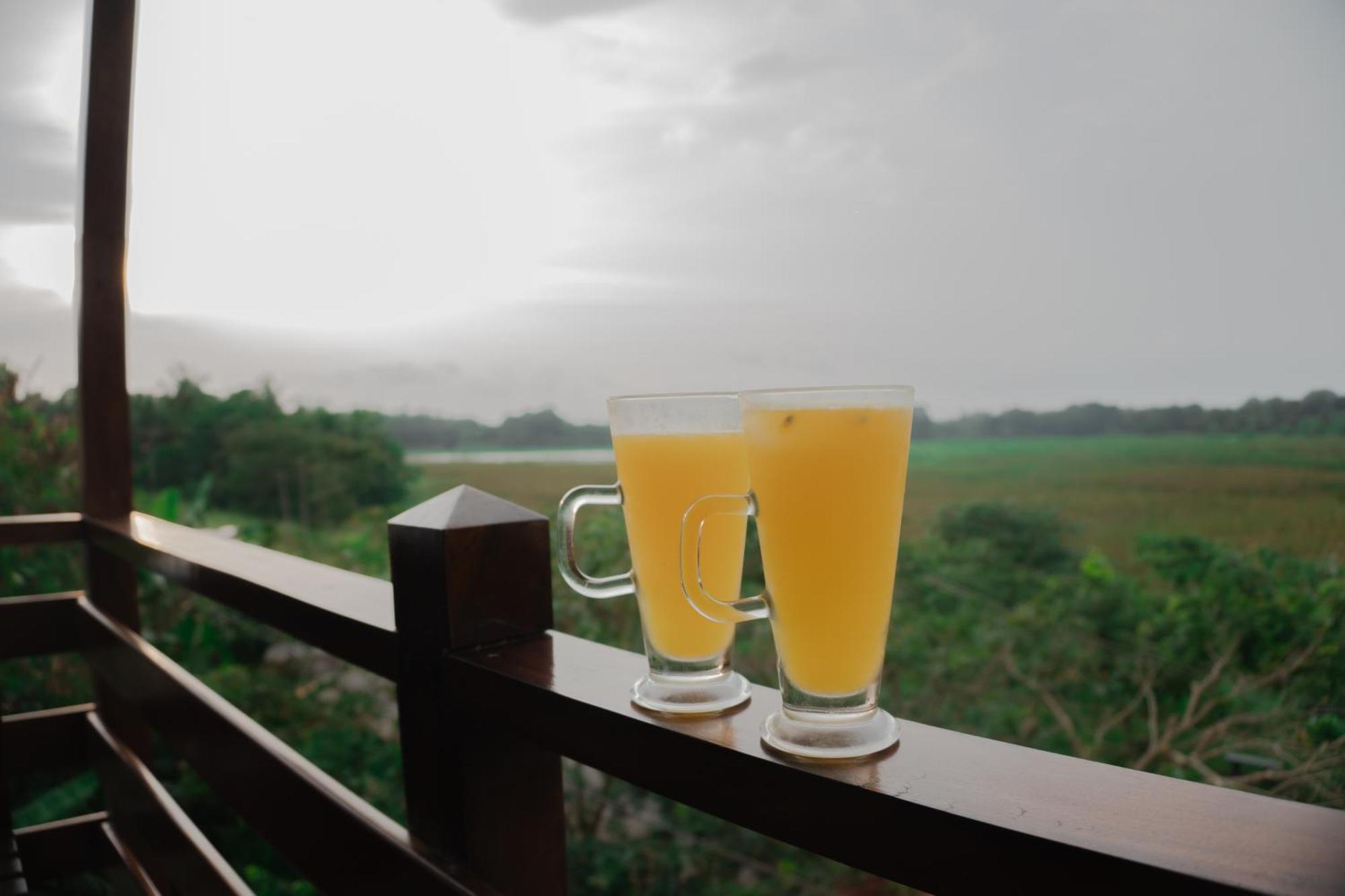 Wilpattu Restaurant & Guest House Pahala Maragahawewa Eksteriør billede